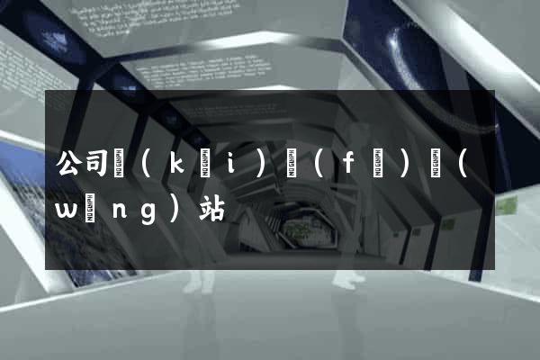 公司開(kāi)發(fā)網(wǎng)站