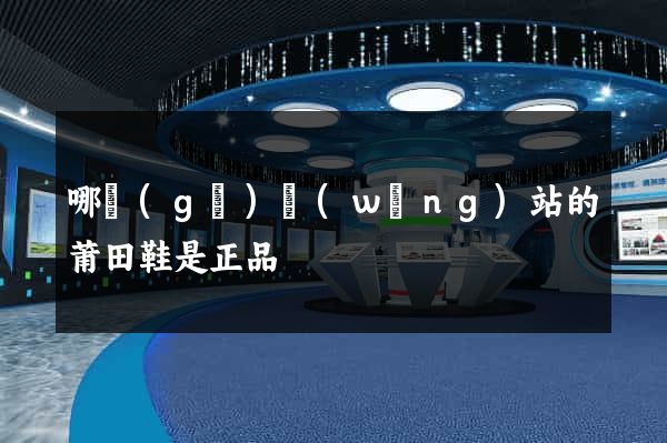 哪個(gè)網(wǎng)站的莆田鞋是正品