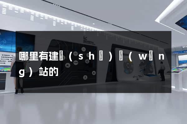 哪里有建設(shè)網(wǎng)站的