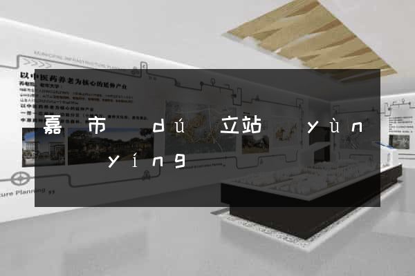 嘉興市獨(dú)立站運(yùn)營(yíng)