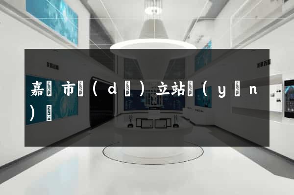 嘉興市獨(dú)立站運(yùn)營