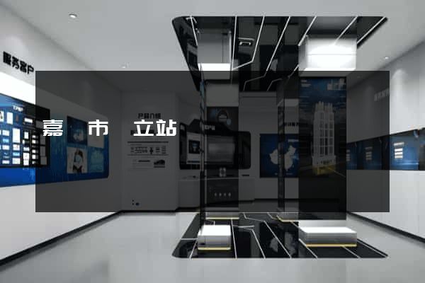 嘉興市獨立站運營