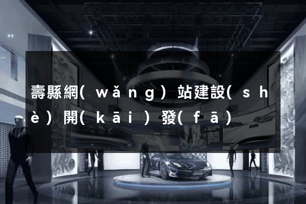 壽縣網(wǎng)站建設(shè)開(kāi)發(fā)