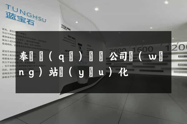 奉賢區(qū)設計公司網(wǎng)站優(yōu)化