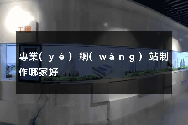 專業(yè)網(wǎng)站制作哪家好