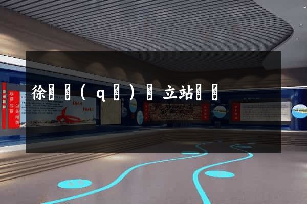 徐匯區(qū)獨立站運營