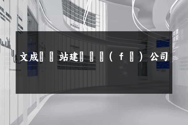 文成縣網站建設開發(fā)公司
