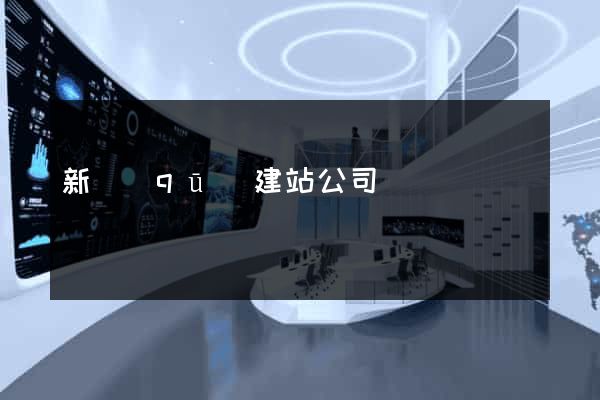 新區(qū)建站公司