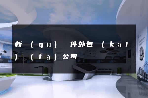 新區(qū)軟件外包開(kāi)發(fā)公司