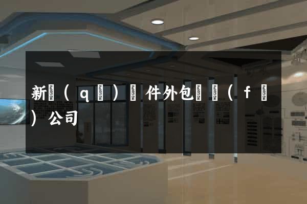 新區(qū)軟件外包開發(fā)公司