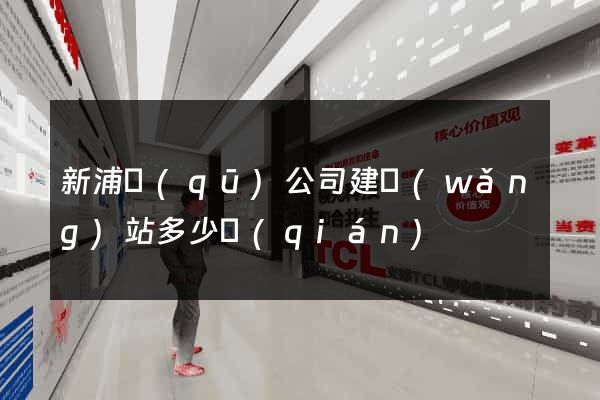 新浦區(qū)公司建網(wǎng)站多少錢(qián)