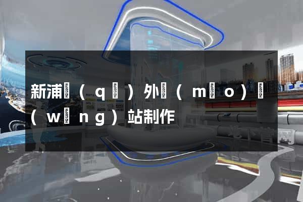 新浦區(qū)外貿(mào)網(wǎng)站制作
