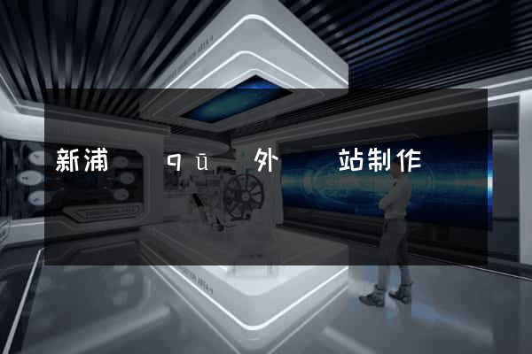 新浦區(qū)外貿網站制作