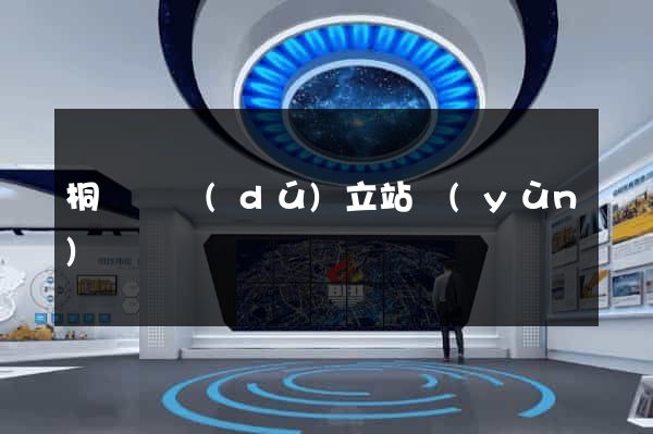 桐廬縣獨(dú)立站運(yùn)營