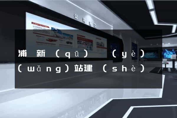浦東新區(qū)專業(yè)網(wǎng)站建設(shè)