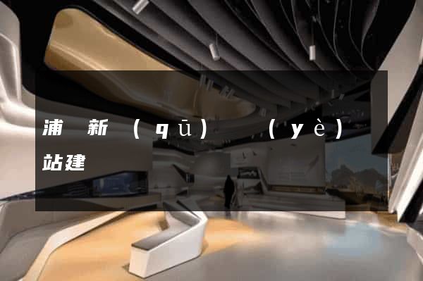 浦東新區(qū)專業(yè)網站建設