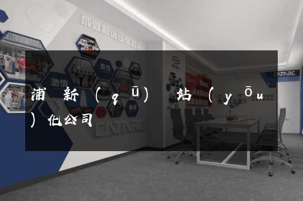 浦東新區(qū)網站優(yōu)化公司