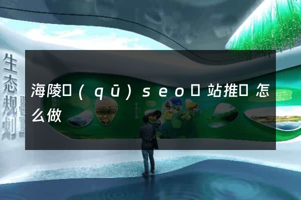 海陵區(qū)seo網站推廣怎么做