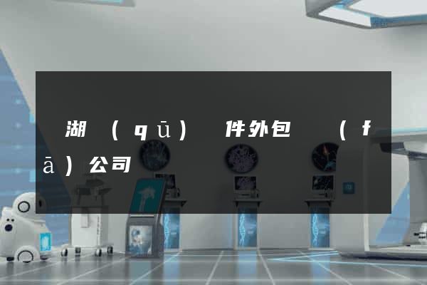 濱湖區(qū)軟件外包開發(fā)公司