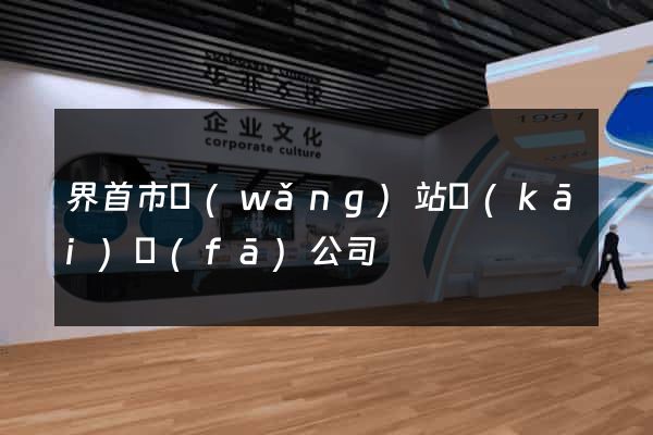 界首市網(wǎng)站開(kāi)發(fā)公司