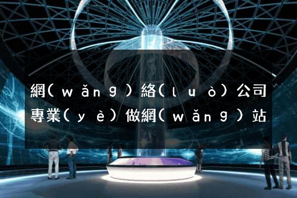 網(wǎng)絡(luò)公司專業(yè)做網(wǎng)站