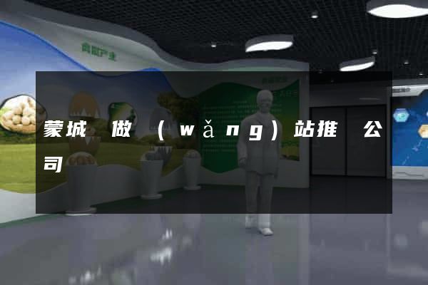 蒙城縣做網(wǎng)站推廣公司
