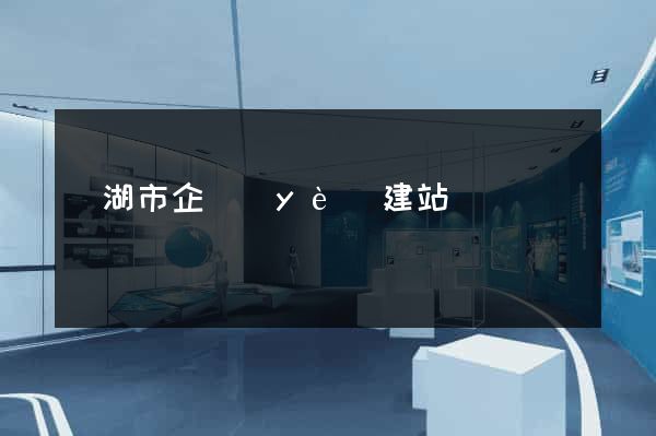 蕪湖市企業(yè)建站