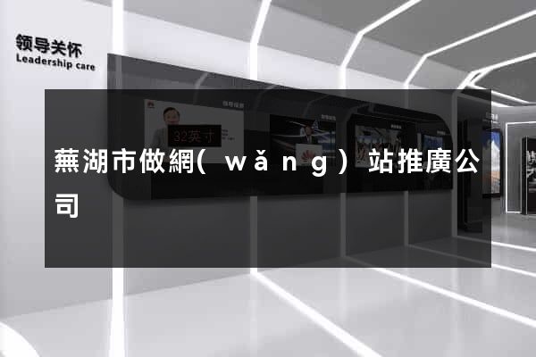 蕪湖市做網(wǎng)站推廣公司