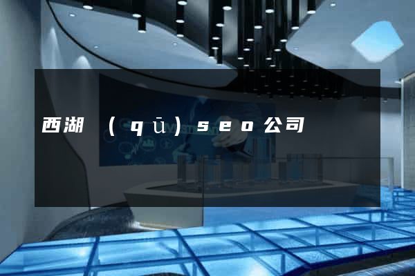 西湖區(qū)seo公司