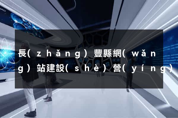 長(zhǎng)豐縣網(wǎng)站建設(shè)營(yíng)銷(xiāo)型