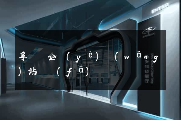 阜寧縣企業(yè)網(wǎng)站開發(fā)