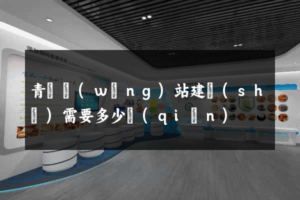 青島網(wǎng)站建設(shè)需要多少錢(qián)