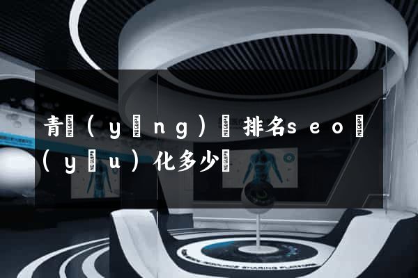 青陽(yáng)縣排名seo優(yōu)化多少錢