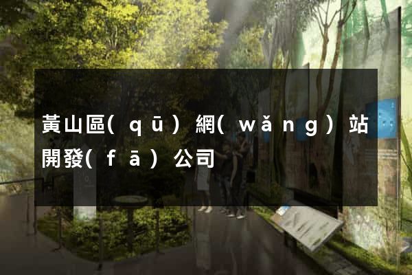 黃山區(qū)網(wǎng)站開發(fā)公司
