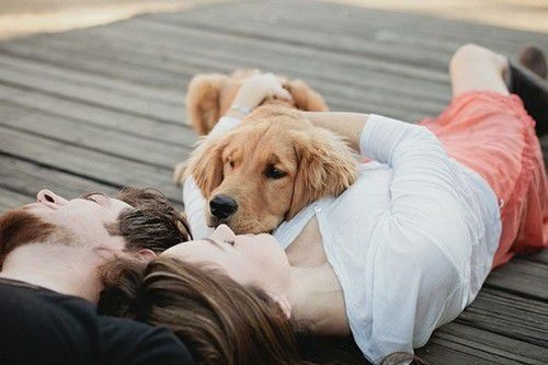 企業(yè)注冊域名費用