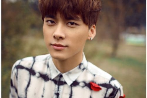 龍子湖區(qū)網站開發(fā)建站